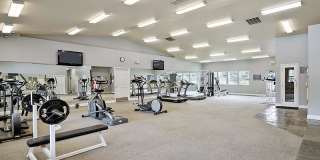 Orchard Place Gallery 29