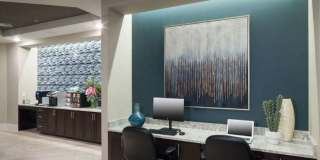 Firewheel Town Village 55+ Community Gallery 22