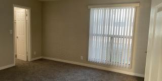 Bellevue Towers Gallery 98