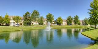 Linden Square Gallery 52