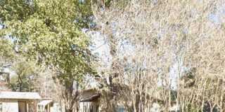 422 Virginia Street Gallery 1