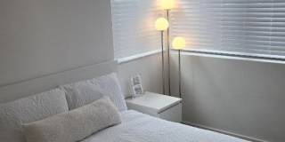 2456 E Encanto Paseo Gallery 14