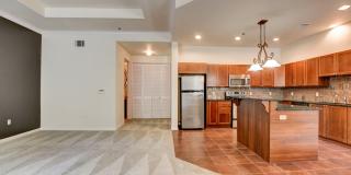 Boca Raton Gallery 50