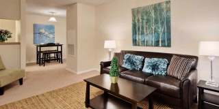 Lakeshire Place Gallery 3
