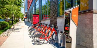 Halstead Square - Lotus & Lofts Gallery 17