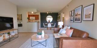 TGM Springbrook Gallery 36