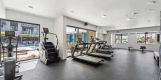 Blue Eastline Gallery 21