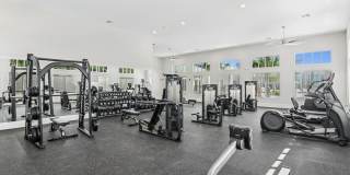 Eastshore Palm Bay Gallery 22