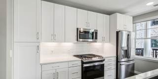 Society at Laurens Gallery 59