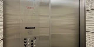 Punahou Heights Gallery 13