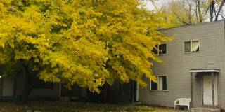 Updated apartment Gallery 1