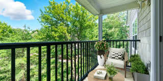 Everly Darien Gallery 7