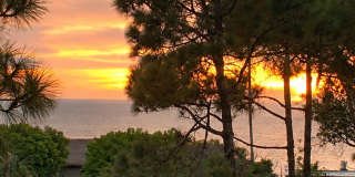Los Arboles Apartments Gallery 39