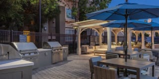 Avalon Willow Glen Avalon Willow Glen Gallery 19