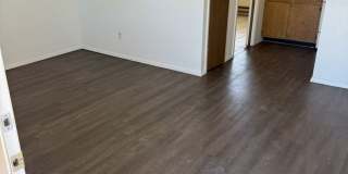 Plain Gallery 9