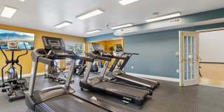 Austin Springs Gallery 19