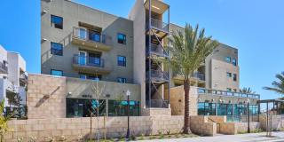 The Willows Gallery 28