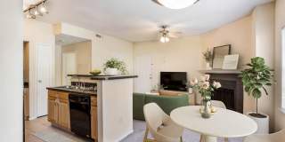 Elliot Baymeadows Gallery 35