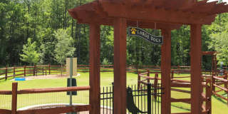 Perserve at Columbus Park Gallery 17