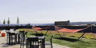 Assembly118 Gallery 28