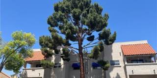 101 Luna Way Gallery 1