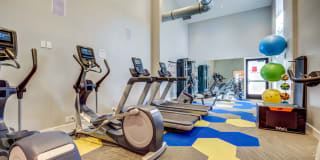 The Alexandar Gallery 12