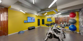 Central Gallery 27