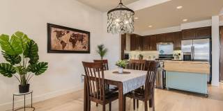 Modern 1 BDR in Peloton - Ground Floor - Full Accessible Gallery 11