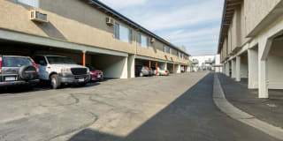 Parthenia Terrace Apartments Gallery 42