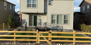 Stunner in North-East Fort Collins with 4-Bedrooms, 2.5 Bathrooms, and 2-Car Garage Gallery 32