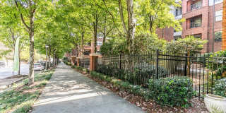 Highland Walk Gallery 21