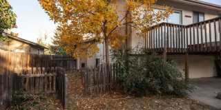 Spacious 4 Bedroom in Mid-Town Fort Collins Gallery 31