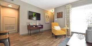 The Element Gallery 10