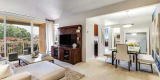 Lerner Morningside Gallery 4