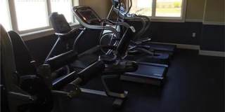 8 Andrews Way Gallery 19