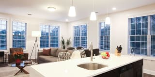 Empire Run Gallery 10