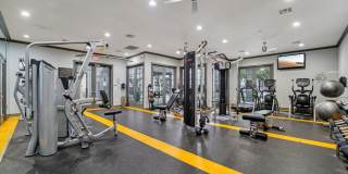 The Milano Gallery 6