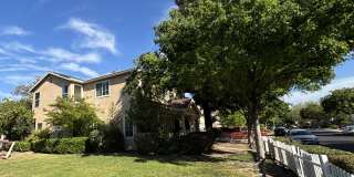 4101 Rose Parade Gallery 8