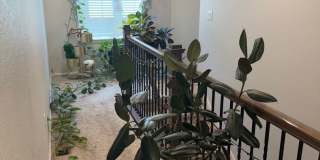 Spacious 4BR House in Parker Gallery 3