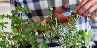 Overture Providence 55+ Active Adult Apartment Homes Gallery 7