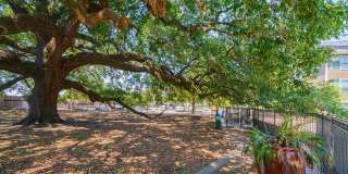 Northgate Oaks Gallery 61