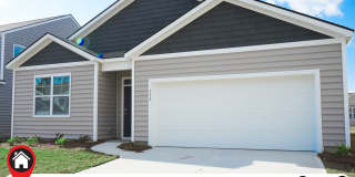 Available Now! Gallery 1