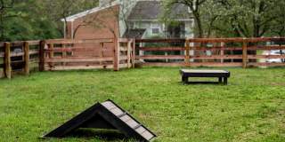 Steeplechase Gallery 49