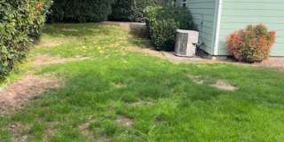 Quiet Peaceful 3 bedroom 2 bath Single Level home located in Central Point Gallery 41