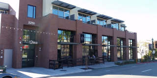 Olea Gallery 3