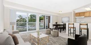 Avenue Apartments Gallery 7