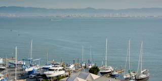 The Martin Gallery 30