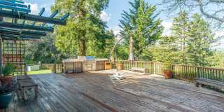 Stunning Architectural Masterpiece! 5BR+Yoga Studio/4.5BA! Ross! Views! Pool! Pet! Waterfalls!  PROGRESSIVE Gallery 9
