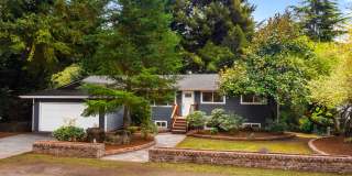 Beautifully Remodeled in Kenmore- Pet Friendly with Oversized Backyard Gallery 1