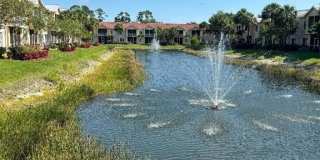 10101 Villagio Palms Way Gallery 19